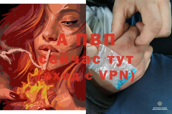 кокаин премиум Новодвинск