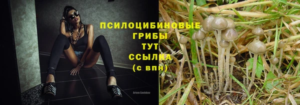 mix Шарыпово