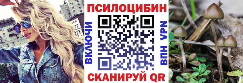 Псилоцибиновые грибы прущие грибы  закладка  МЕГА зеркало  Волгоград 
