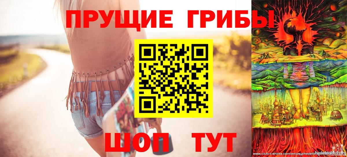 Псилоцибиновые грибы Cubensis  купить  сайты  Псилоцибиновые грибы Psilocybine cubensis  Волгоград  Вход с VPN 