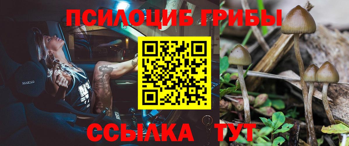 Галлюциногенные грибы Cubensis Волгоград