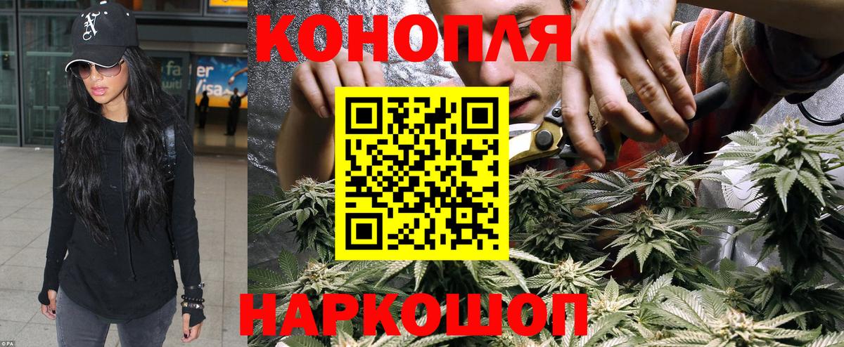 Бошки Шишки семена  МАРИХУАНА SATIVA & INDICA  Волгоград  МАРИХУАНА White Widow  Конопля THC 21% 